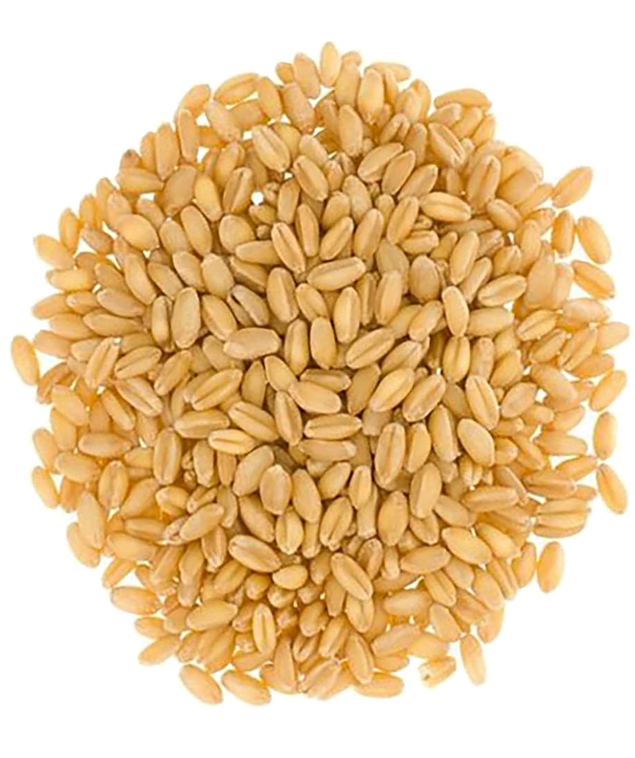 Hard White Wheat Berries | 3-4 LB Kraft Bags (12 LBS total) | Desiccant Free | Sproutable | Non-GMO Project Verified | Kosher