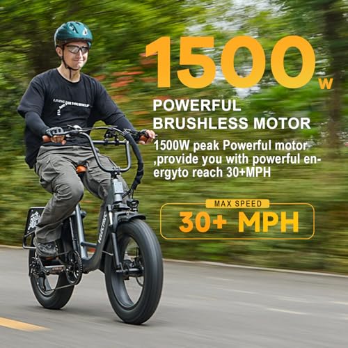 Electric Bike for Adults,1500W Motor Peak 48V 18AH Removable Battery,30MPH Ebike, 20