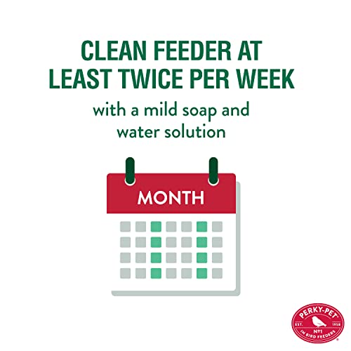 Perky-Pet 8109-2 Antique Glass Bottle Hummingbird Feeder-16-Ounce Capacity, Red