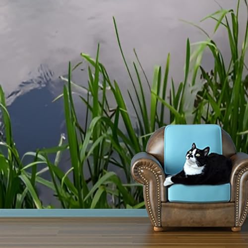 3D Wallpaper The Interior Living Room Modern Furniture Fashionable Dried Flowers a Self Adhesive Bedroom Living Room Dormitory Decor Wall Mural Stick and Peel Background Wall Ceiling Wardrobe Sticker