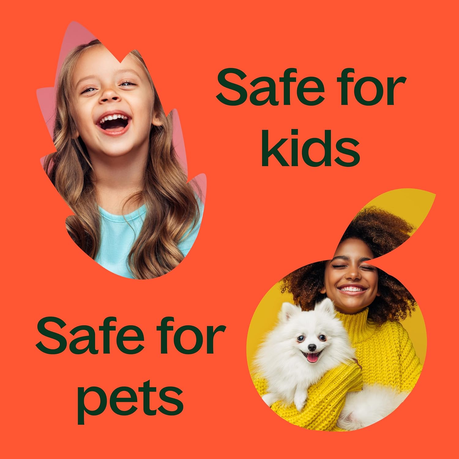 Plant Therapy Frankincense Serrata Essential Oil 100% Pure, Undiluted, Natural Aromatherapy, Therapeutic Grade 30 mL (1 oz)