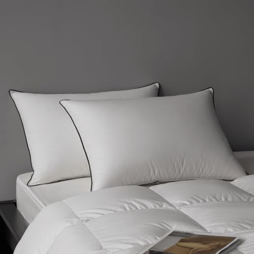 Luxury Hungarian Goose Down Pillows King Size 1 Pack, Medium Firm Bed Pillows for Sleeping, Hotel Pillow, 750 Fill Power, 460 TC Cotton Blend Shell, 20