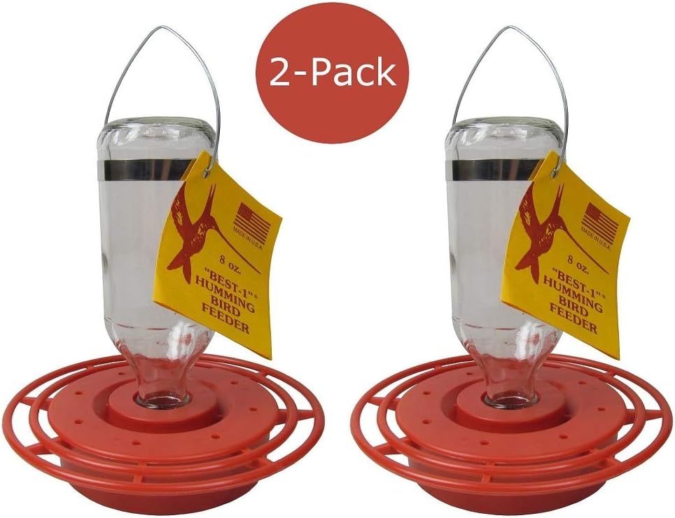Birds Choice Best-1 8oz. Hummingbird Feeder (Pack of 2)