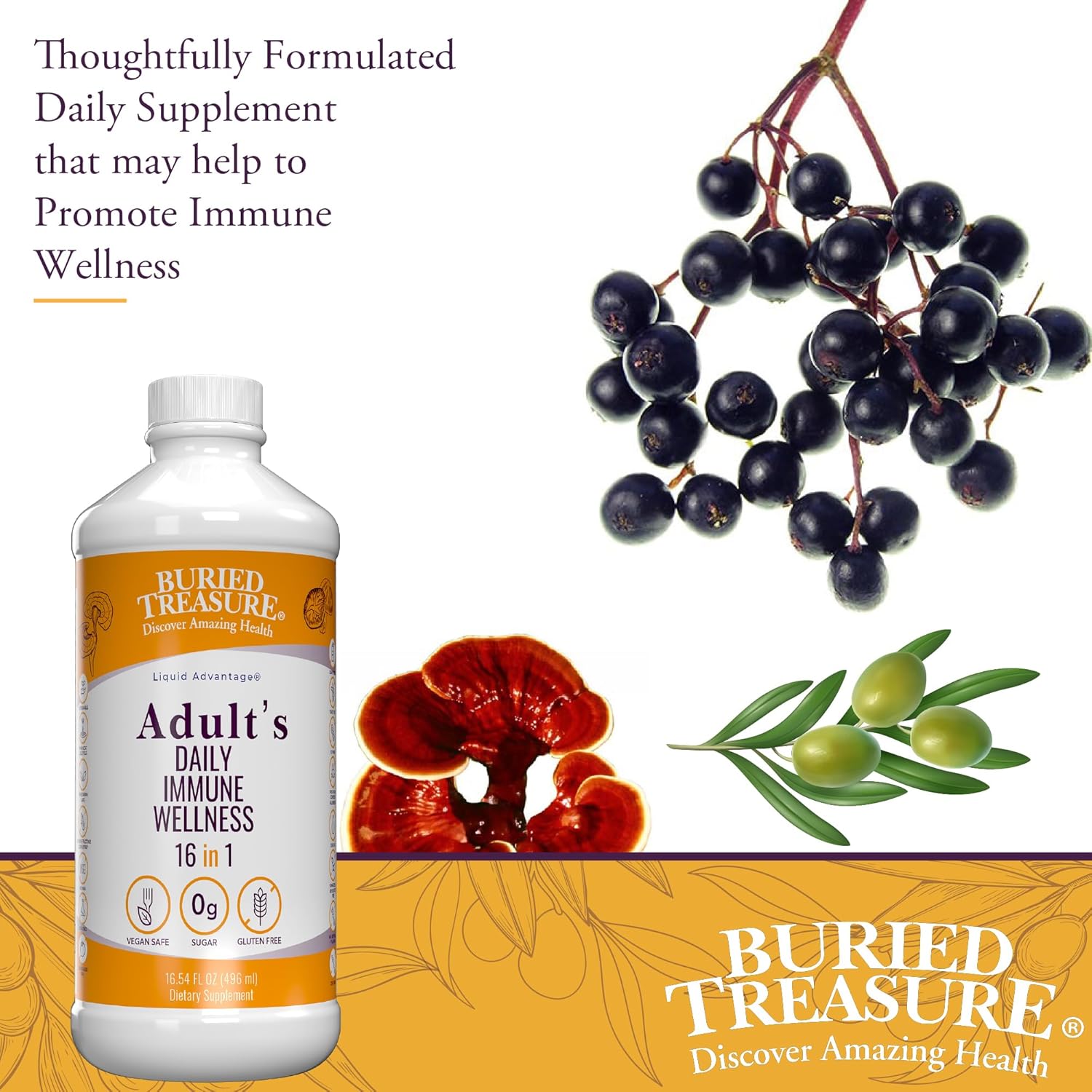 Buried Treasure Adult Daily Immune Wellness 16 Fl oz. Immune Booster with Elderberry Echinacea, Vitamins