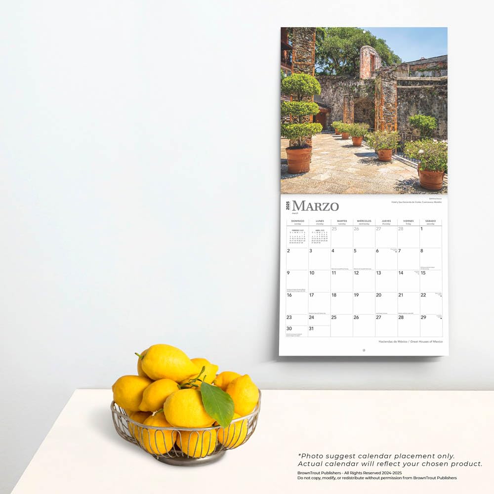Haciendas de Mexico | Great Houses of Mexico | 2025 12 x 24 Inch Monthly Square Wall Calendar | English/Spanish Bilingual | Plastic-Free | BrownTrout ... Latifundium (Spanish and English Edition)