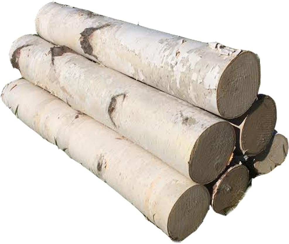 White Birch Log Set for Fireplace 24