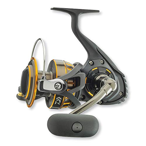 Daiwa BG Spinning Reel