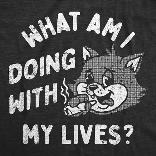 Womens Funny T Shirts What Am I Doing with My Lives Sarcastic Kitten Tee for Ladies