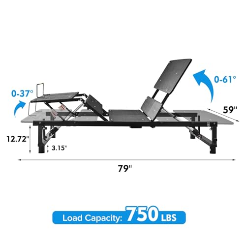 Queen Size Metal Adjustable Bed Frame, Ergonomic Electric Bed Base with Head and Foot Incline, Zero Gravity, Wireless Remote, Quiet Motor, 12 inch Legs for Storage, 5-Minute Assemble (Queen)
