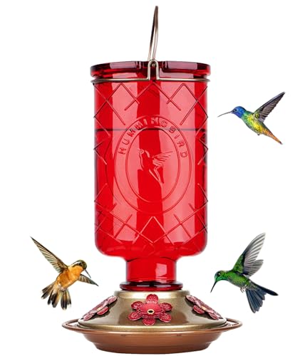 BOLITE Hummingbird Feeder, 2 Pack Glass Hummingbird Feeders for Outdoors Hanging, 5 Feeding Ports, 15 Ounces, Clear