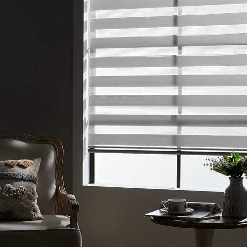 Zebra Blinds Roller Shades for Windows, Pretection Privacy, Light Filtering Control Day and Night, Corded Roll pull down Blind for home and office (offWhite - Width 20