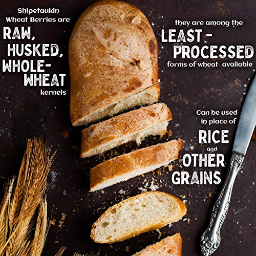 Shipetaukin Organic Soft White Wheat Berries - Non GMO, USA Grown, 100% Non-Irradiated - Whole Grain for Bread, Sprouting, Baking Flour (28 Ounces)