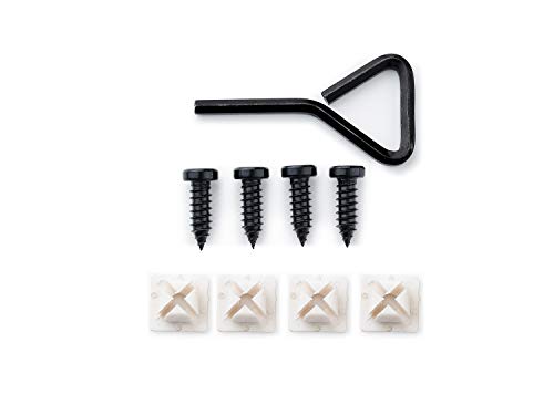 License Plate Screws 1/4-3/4, Self-tapping, Stainless Steel (Black)