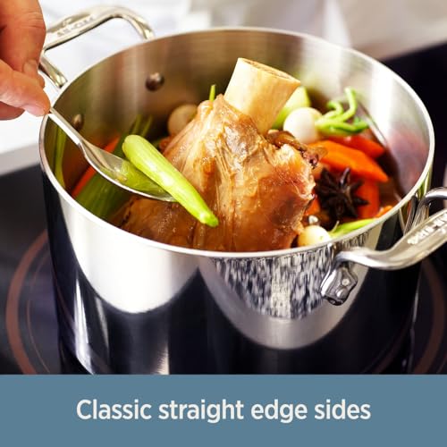 All-Clad D3 3-Ply Stainless Steel Fry Pan With Lid 10 Inch, Induction Compatible, Oven Broiler Safe 600F, Fast and Even Heat, Pots and Pans, Cooking Frying Pan, Skillet, Kitchen, Cookware, Silver