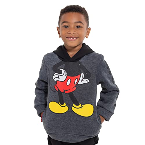 Disney Mickey Mouse Winnie the Pooh Tigger Fleece Cosplay Pullover Hoodie Infant to Big Kid
