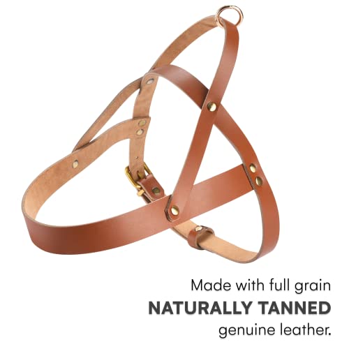 Black Rhino Leather Heavy Duty Dog Harness - Service Dog Vest - Padded Tactical Dog Harness - No Pull Dog Chest Harness Ideal for All Types of Dog Breed