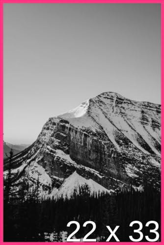 22 3/4 x 33 1/2 Satin Black Metal Frame (Ashford) 22.7x33.5 inches