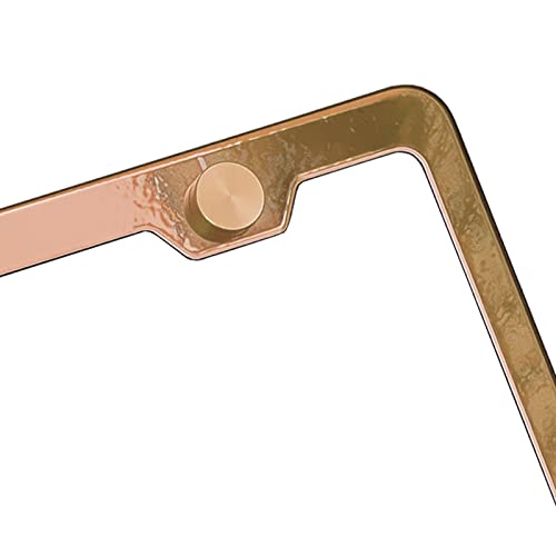 T304 Stainless Steel License Plate Frame Matte Black Powder Coated Universal Fit Aluminum Screw On Cap Cover, Rust Proof Weather Proof Stainless Steel Screws Silicone Back Guard (Qty: 1 Frame)