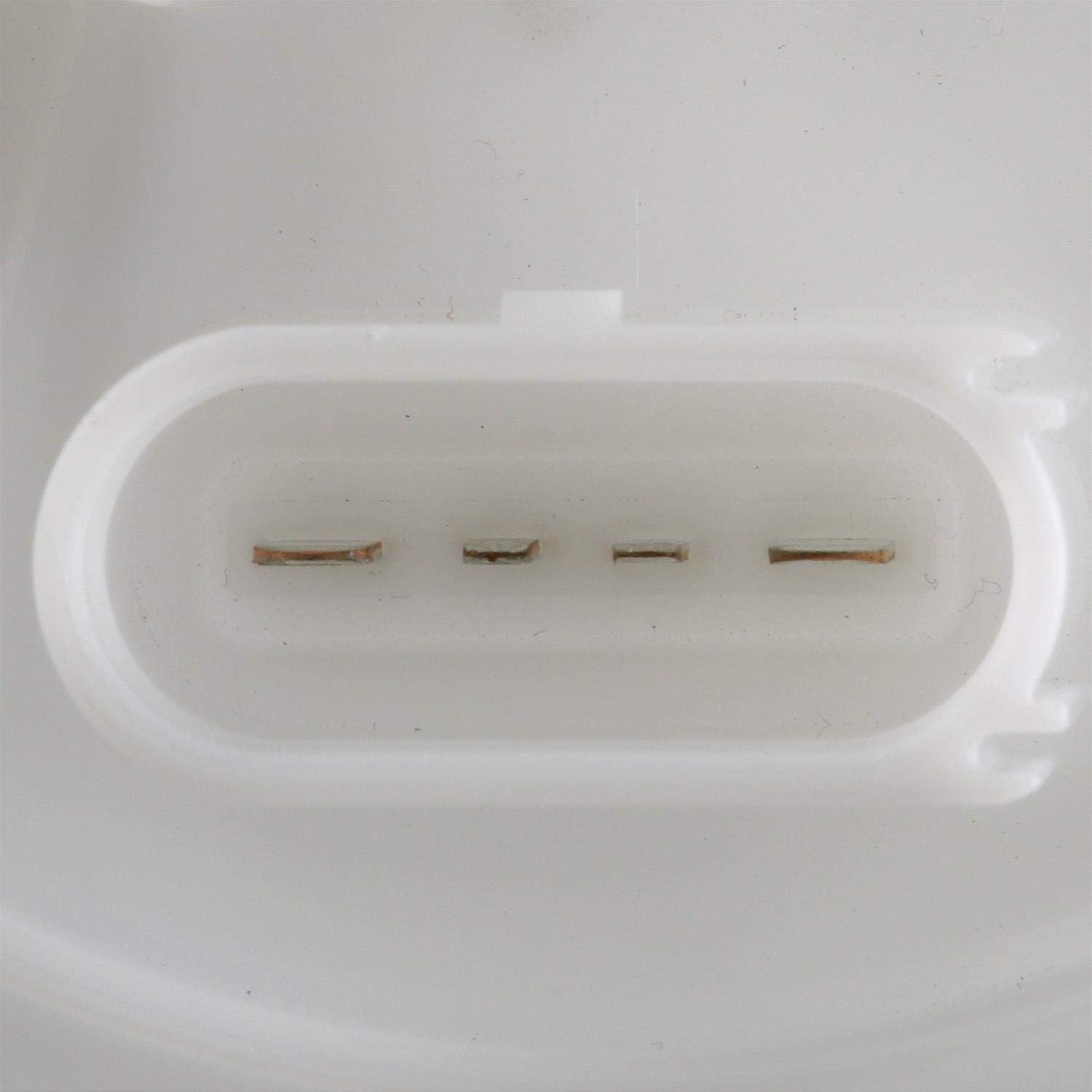 Delphi FG2082 Fuel Pump Module