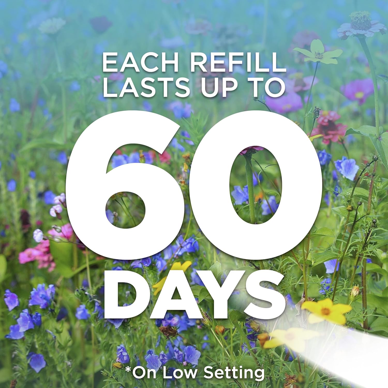 Air Wick Plug in Scented Oil Refill, 5 ct, Brown Sugar and Vanilla, Air Freshener, Essential Oils, Fall Scent, Fall decor (Pack of 2)