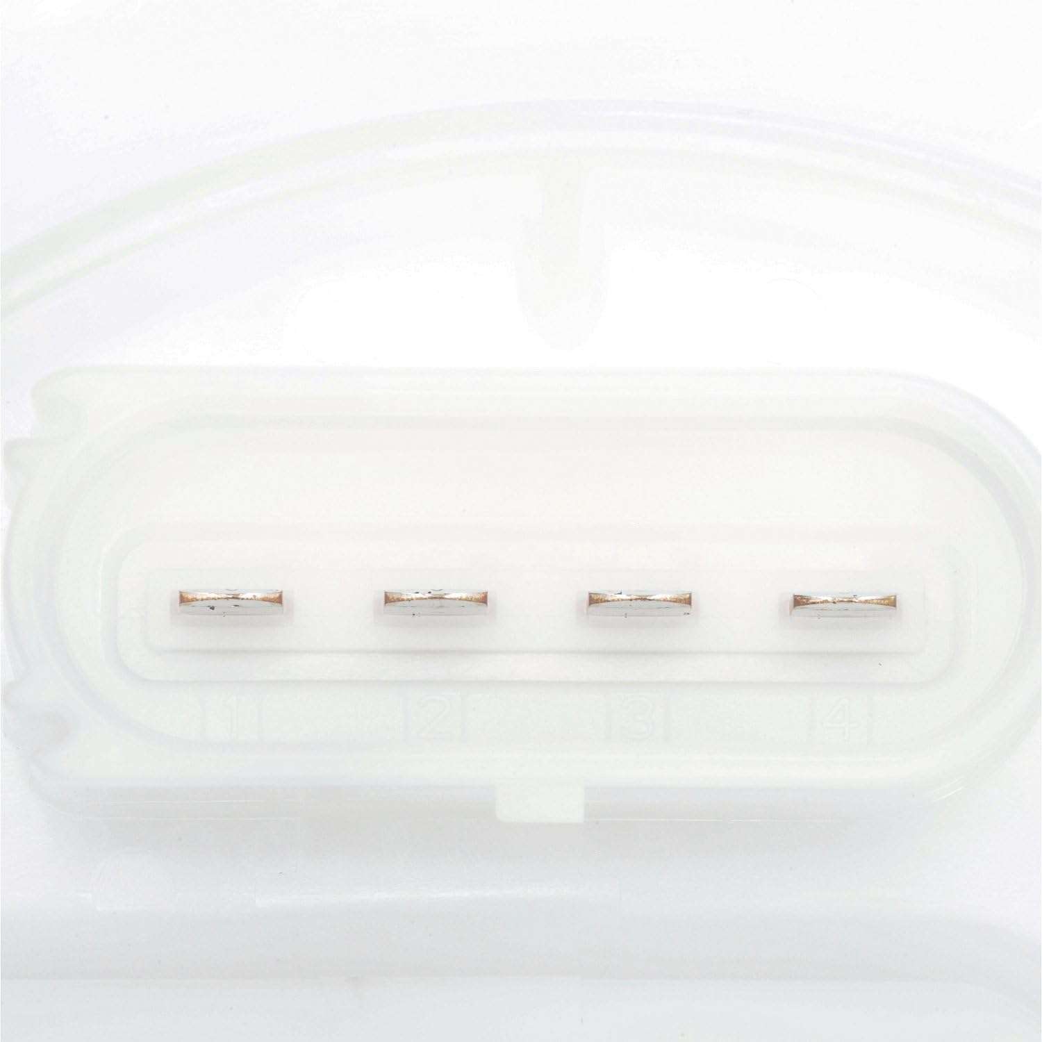 Delphi FG2093 Fuel Pump Module