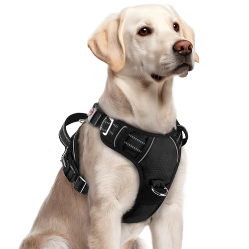 rabbitgoo Dog Harness for Large Dogs, No Pull Dog Vest Harness with 3 Buckles, Adjustable Soft Padded Pet Harness with Easy Control Handle and Reflective Strips, Black, XL