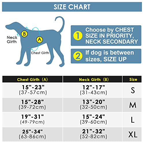 ThinkPet No Pull Harness Breathable Sport Harness with Handle-Dog Harnesses Reflective Adjustable for Medium Large Dogs,Back/Front Clip for Easy Control XL Teal
