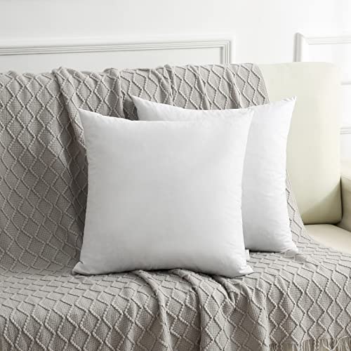 DWR Goose Feather Down Pillow for Sleeping 2 Pack, King Size Organic Cotton Hotel-Style Bed Pillow Inserts, Soft Medium Pillow for Stomach and Back Sleeper (20x36, Set of 2)