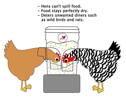 RentACoop 20 Pounds BPA-Free Chicken Feeder with Large Ports - includes Lid, Anti-Roost Cone, Rain Hoods - Suitable for Chickens - Center Placement