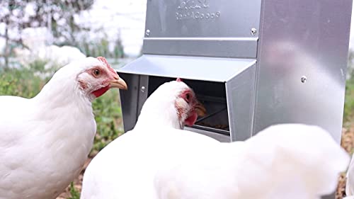 RentACoop Galvanized Chicken Trough Feeder, Weatherproof Poultry Food Dispenser with Lid 25LB Capacity