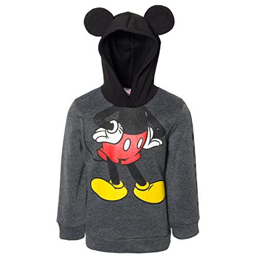 Disney Mickey Mouse Winnie the Pooh Tigger Fleece Cosplay Pullover Hoodie Infant to Big Kid