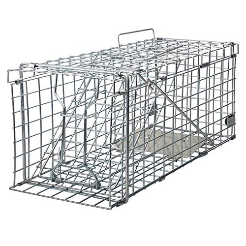 Heavy Duty Live Animal Trap for Squirrels, Small Rabbits and More