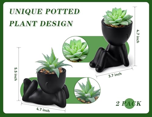 Der Rose 2 Packs Fake Plants Succulents Plants Artificial for Living Room Home Bathroom Office Decor