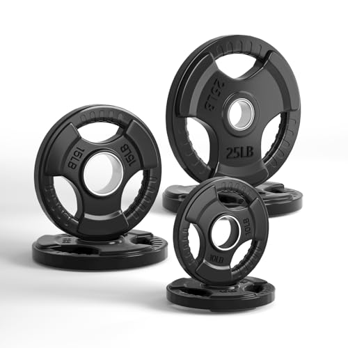 LIONSCOOL 2-Inch Rubber Olympic Grip Weight Plates for Strength Training, Weightlifting, Solid Cast Iron Plate for Barbell in Single/Pair/Set for Home & Gym (2.5-45LB), One Year Warranty