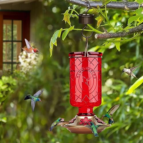BOLITE Hummingbird Feeder, 2 Pack Glass Hummingbird Feeders for Outdoors Hanging, 5 Feeding Ports, 15 Ounces, Clear