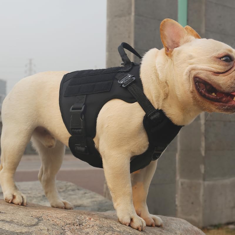 ICEFANG Tactical Dog Harness,Medium size, 2X Metal Buckle,Working Dog MOLLE Vest with Handle,No Pulling Front Leash Clip,Hook and Loop Panel