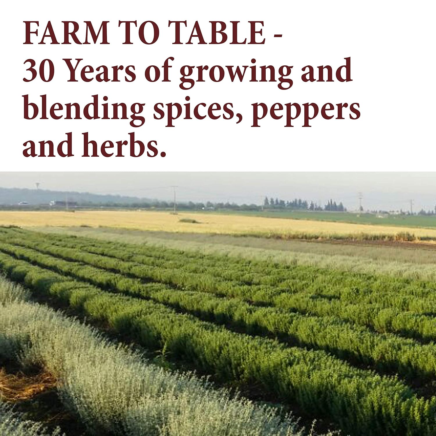 The Spice Way Granulated Garlic - Domestic, US Grown (8 oz) resealable bag