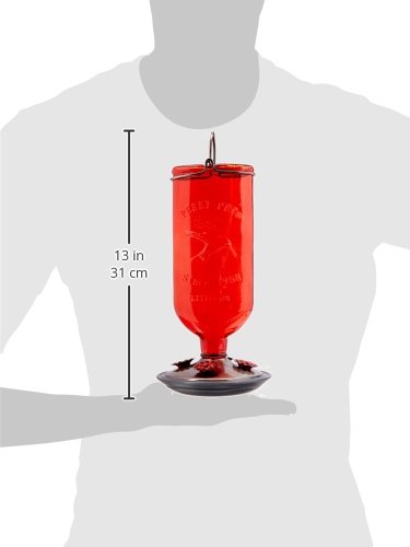 Perky-Pet 8109-2 Antique Glass Bottle Hummingbird Feeder-16-Ounce Capacity, Red