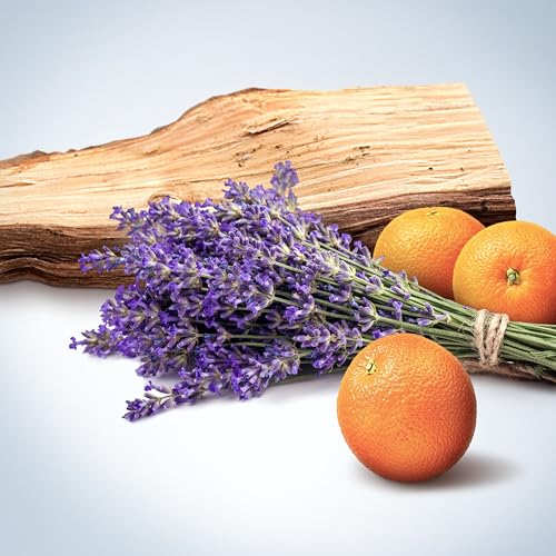 Calvin Klein Obsession Eau de Toilette – Ambery Men's Cologne – With Notes of Bergamot, Lavender, Sage, Musk & Sandalwood – Luxury Perfumes for Men – Long Lasting Fragrance