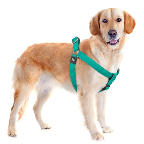 Kruz Original Heavy-Duty No Pull Dog Harness - Ultra Comfort, Lifetime Durability, Pet Harness for Small and Medium Dog Breeds (Mint Green, Large)