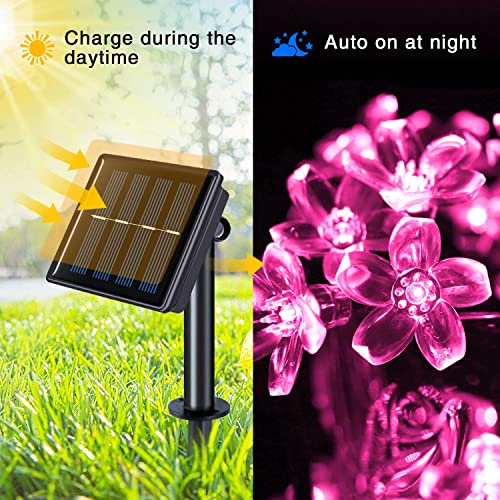 JMEXSUSS 2 Pack Purple Solar Flower String Lights, Each 30.6FT 50 LED Solar Powered Christmas Lights Outdoor Waterproof, 8 Modes Solar Halloween Lights for Garden Yard Patio Tree Halloween Decoration