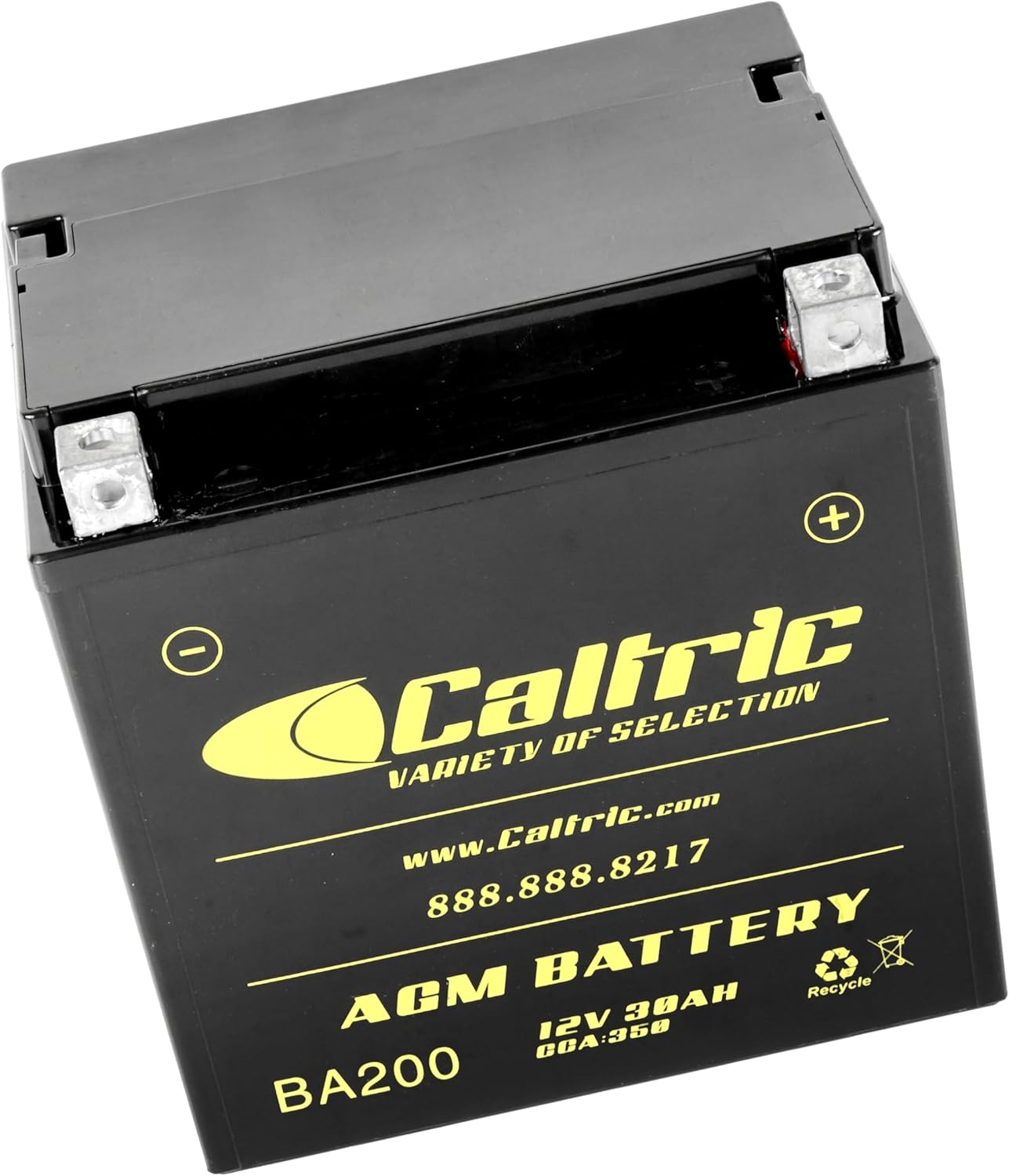 Caltric AGM Battery Compatible with Polaris Diesel 445 1999 2000 2001 2002 2003 12V / 30 AH/CCA 350