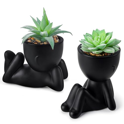 Der Rose 2 Packs Fake Plants Succulents Plants Artificial for Living Room Home Bathroom Office Decor