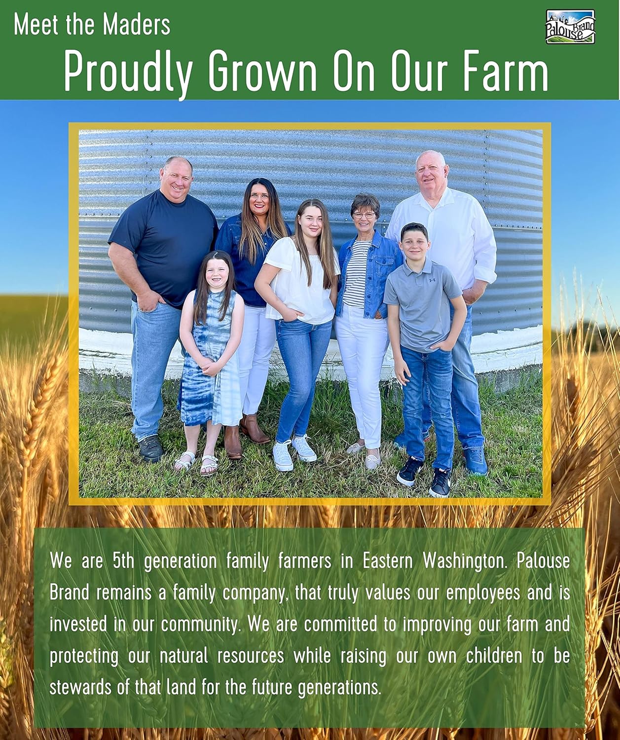 Hard White Wheat Berries | 3-4 LB Kraft Bags (12 LBS total) | Desiccant Free | Sproutable | Non-GMO Project Verified | Kosher