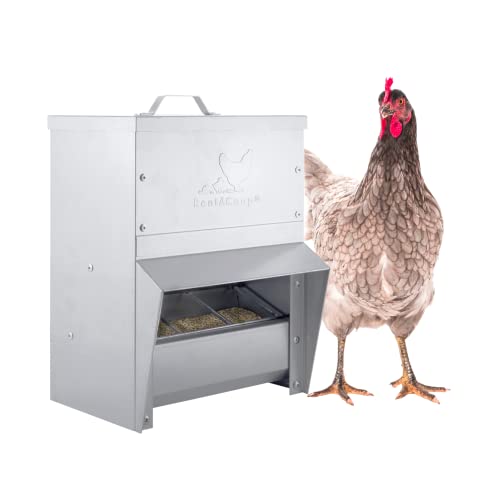 RentACoop Galvanized Chicken Trough Feeder, Weatherproof Poultry Food Dispenser with Lid 25LB Capacity