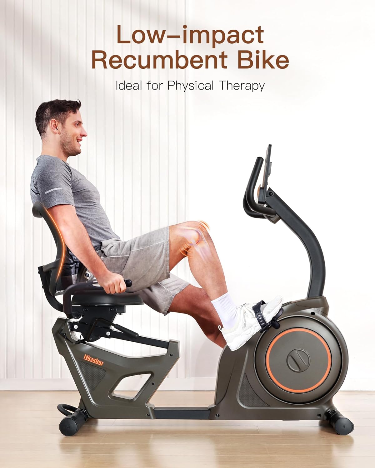 Niceday Recumbent Exercise Bike & Elliptical Machine, 16 Resistance Levels and 400LB Weight Limit