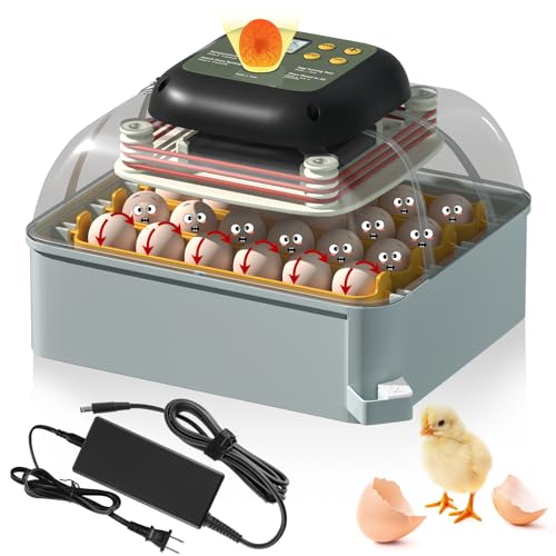 Chicken Egg Incubator with Automatic Egg Turning and Humidity Control – Ideal for Chicken, Duck, and Quail Eggs – Holds 24 Eggs (Green)