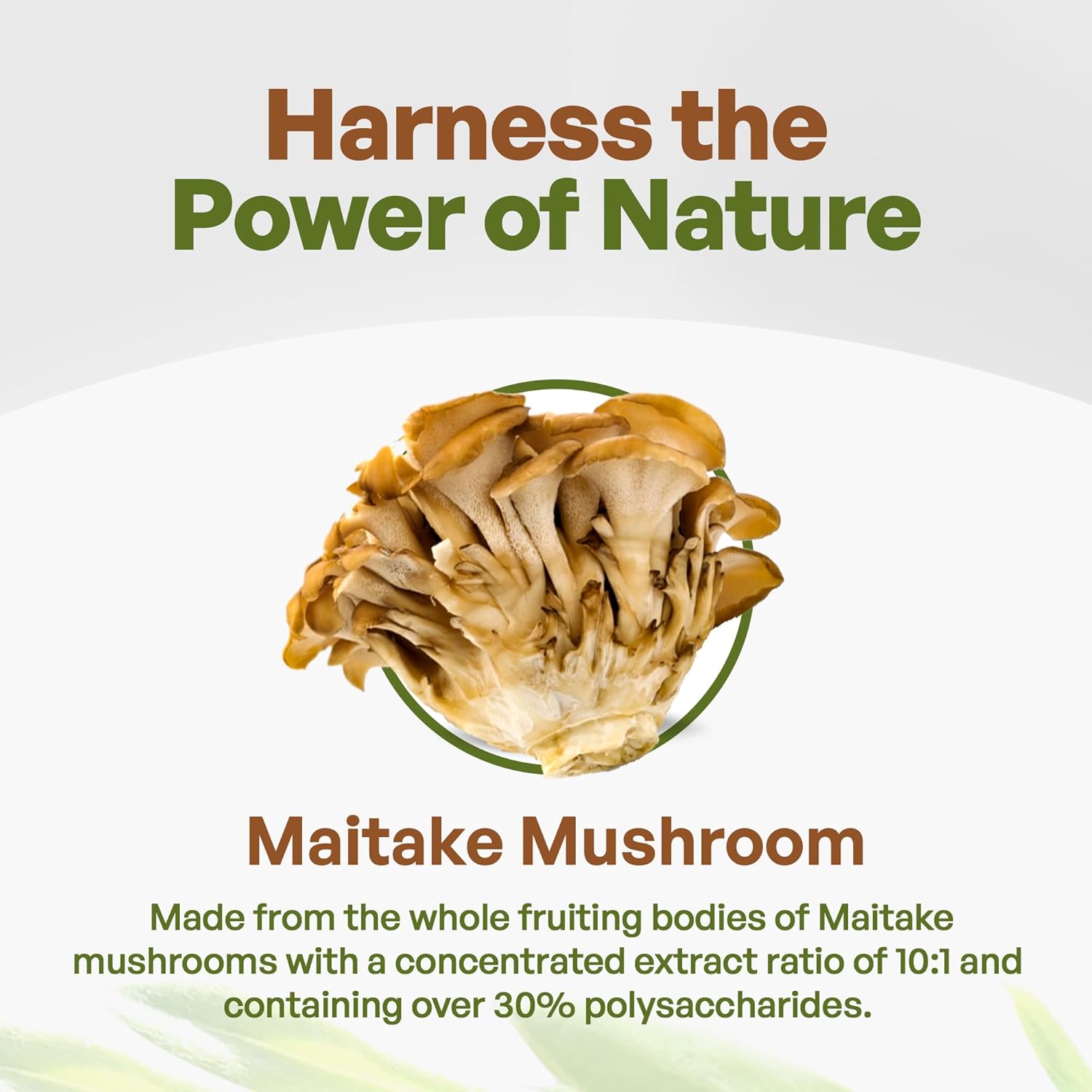 Maitake Mushroom Extract Powder by Go Nutra 8 oz | Grifola Frondosa 30% Polysaccharides | Maitake King of Mushrooms