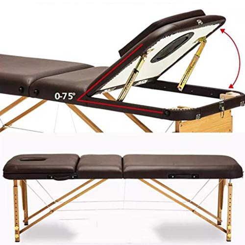 Salon & Spa Tables 3-Section Beauty Couch with Headrest Lightweight Foldable Portable Massage Bed Large Salon Spa Massage Table (Pink 186 * 60cm)