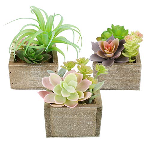 Mingfuxin Artificial Succulents Plants, Mini Assorted Green Fake Plants in Pots, Small Succulents Plants Artificial with Wood Potted for Bathroom Home Office Living Room Table Decor Indoor, Set of 3